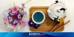 Apakah Teh Bunga Telang Baik untuk Ginjal? Berikut Penjelasannya…