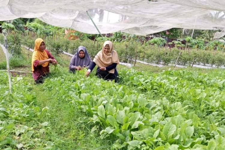 Novika menjadi salah satu penerima Insan UGM Berprestasi 2024 kategori Pelopor Pemberdayaan Daerah Tertinggal, Terdepan, Terluar (3T). 