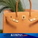 Walmart Jual Hermès Birkin Tiruan, Kenapa Ada Warganet yang Mendukung?