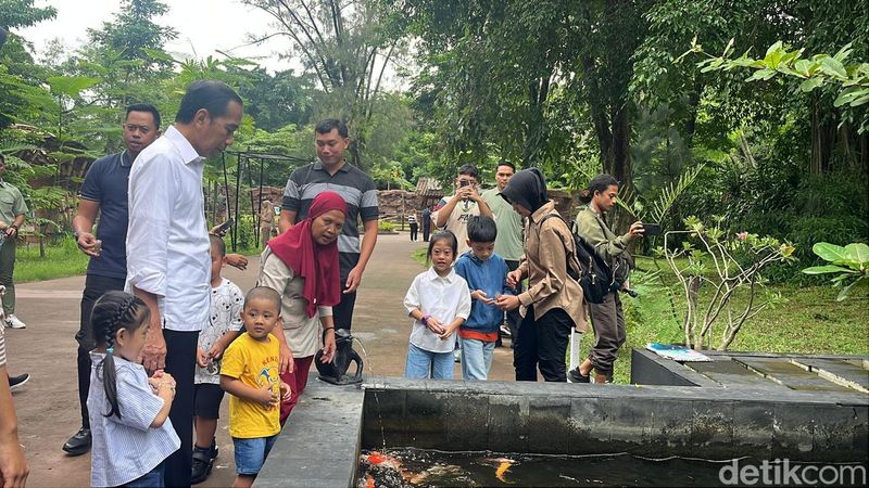 Libur Nataru, Jokowi Ajak 6 Cucu Liburan ke Solo Safari