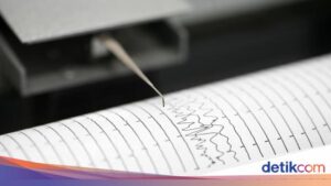 Analisis BMKG soal Gempa M 6,0 Dimutakhir Jadi M 5,8 di Buol Sulteng