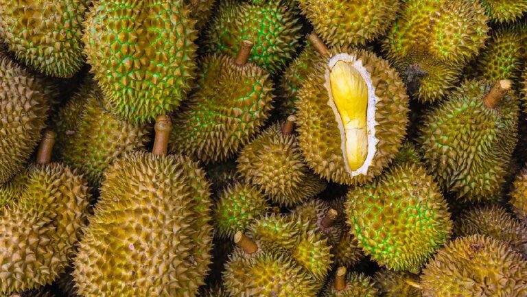 Malaysia Bangun Hotel Bertema Durian Pertama di Dunia