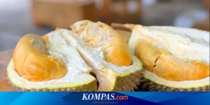 Apa Manfaat dari Makan Durian? Ini Penjelasannya…