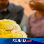 Apakah Durian Mengandung Kolesterol? Ini Ulasannya…