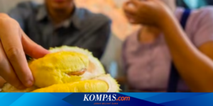 Apakah Durian Mengandung Kolesterol? Ini Ulasannya…