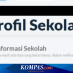 Cara Isi PDSS untuk Daftar SNBP 2025, Cara Manual dan e-Rapor