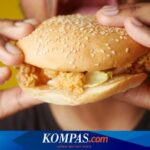 Apa Pantangan Trigliserida Tinggi? Berikut 7 Daftarnya…