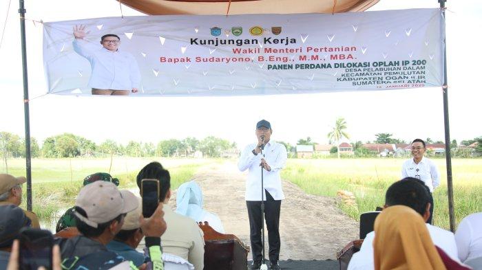 Harga Gabah Anjlok di Bawah HPP, Wamentan Sudaryono Ultimatum Bulog Serap dalam 2 Hari